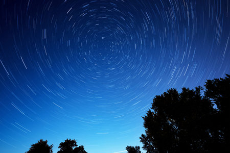 night star trails with tree as foreground