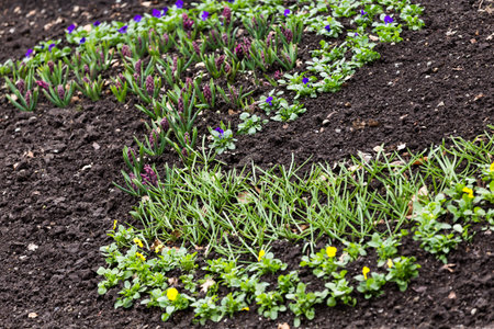 garden flower bed with curve shapeの写真素材