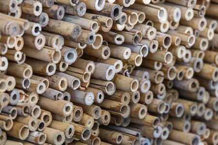 bamboo cross slice on wall texture backgroundの写真素材