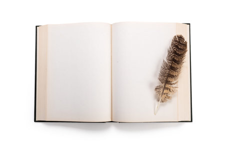 open book and quill pen