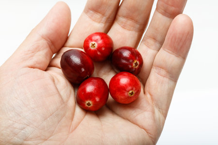 Red fresh raw cranberry isolated on white background. produce at bc canada