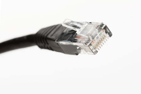 Black network cable plug , close up view.
