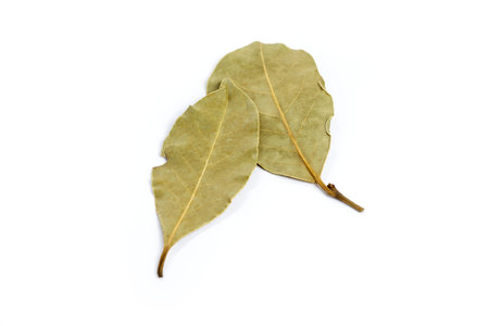 dried bay leaves isolated on a white background.