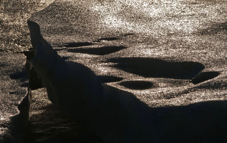 Forms of sea ice near the coastの写真素材