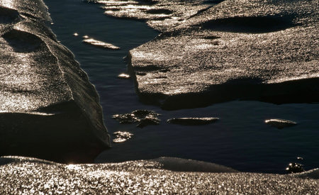 Forms of sea ice near the coast