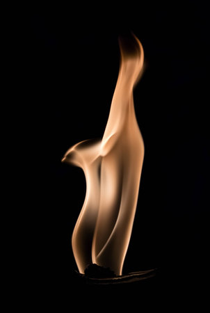 Fire flames abstract on black background