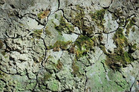 Old cement wall with cracks and moss の写真素材