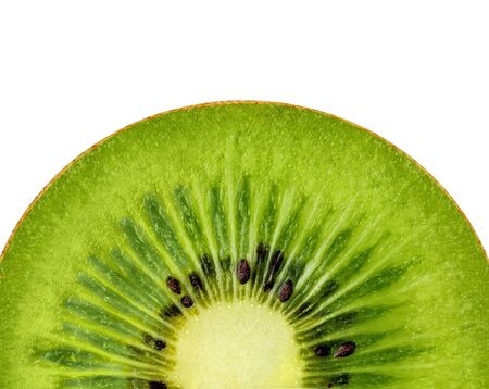 Kiwi on a white backgroundの写真素材