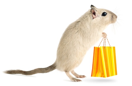 Cute little gerbil with with shopping bag isolated on white backgroundの写真素材