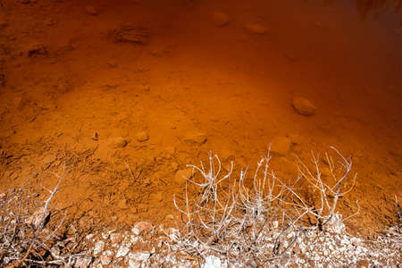 Shore of toxic lake in abandoned open cast mine. Red acidic water rich with heavy metals, dead plants covered by chemicalsの写真素材