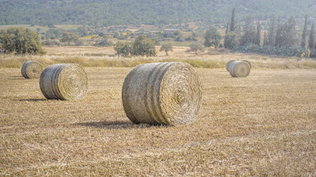 Hay bales in a field of cut dried grass, with Mediterranean countryside landscape at a distance
