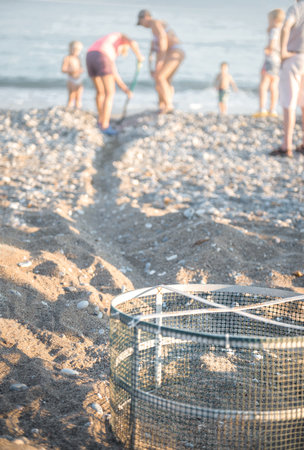 Protective cage over sea turtleâs nest and volunteers cleaning the beach, helping turtle hatchlings to get to the sea safelyの写真素材