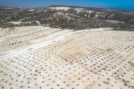 Reforestation and ecosystem restoration in abandoned limestone quarryの写真素材