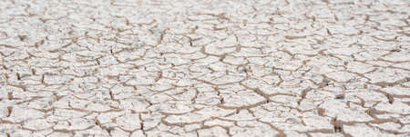 Cracked white soil, wasteland texture close up panoramaの写真素材