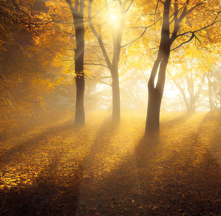 Alley turn in autumn park with yellow trees and sun rays, beautuful landscape. Digital illustration based on render by neural networkの素材