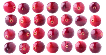 Isolated collection of fresh cranberry fruits of different color and shapes on white background