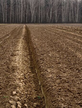 Rural landscape, plowed field, autumnの写真素材