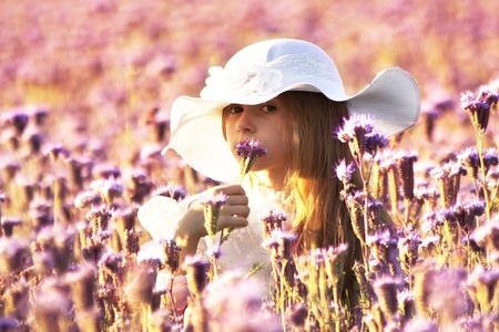 happy little  girl in a white dress smelling a flower tansy phacelia on a summer eveningの写真素材