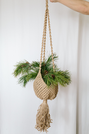 Bouquet of fir-tree coniferous pine branches in a vase jewelry Knitted macrame terrarium holder . On a white backgroundの写真素材