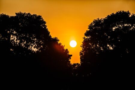 Orange sunset. solar disk comes between the silhouettes of treesの写真素材