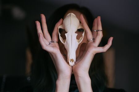 Portrait of a young girl holding a mysterious skull in the hands of a fox. Painted long hair.の写真素材