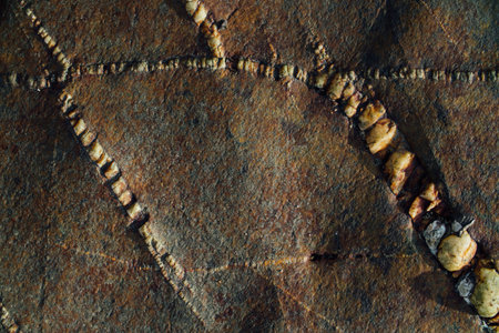 Texture of sea stone with rust.