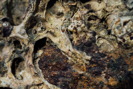 Texture of sea stone with rust.