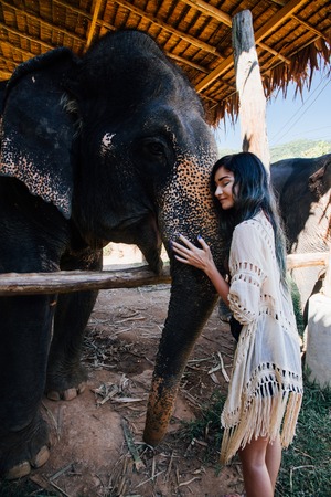 Model woman hugging a big elephant in the zoo-parkの写真素材