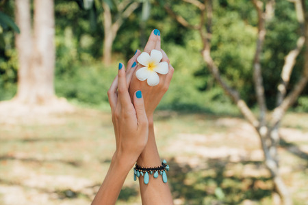 White plumeria Flower on hand With a turquoise bracelet .の写真素材