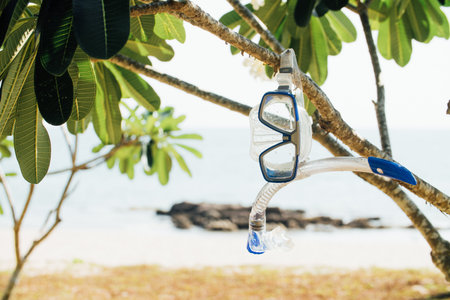 Blue mask and snorkel hangs on a tree branch against the backdrop of the sea and the beach.の写真素材