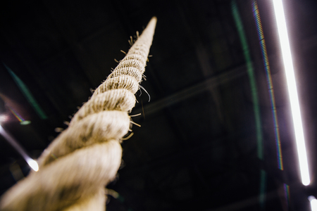 macro rope hanging from the ceiling in the gym. Motivation, improvement concept. No oneの写真素材