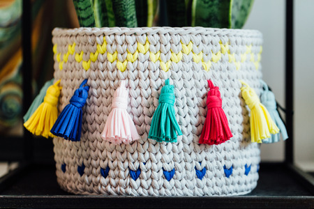 Lovely cute knitted pot of ivy. handmade.の写真素材