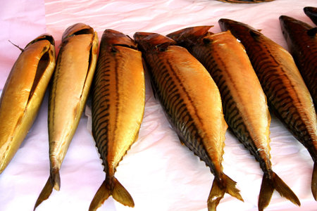 Mackerel