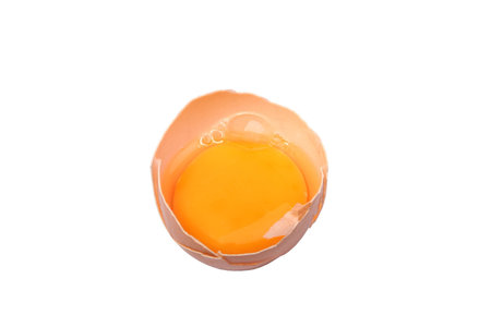 Egg
