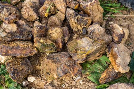 Iron ore in the form of lumps of brown iron ore (limonite-hematite) in nature