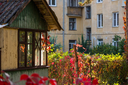 Cozy suburban area inside the urban areaの写真素材