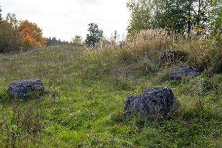 Stone limestone boulders in the middle of a green field