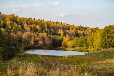 Beautiful autumn landscape in the wilderness with a body of water and forest in the background....