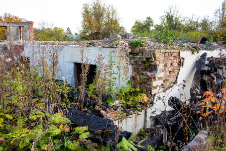Remains of the main house of the Panskoye estate after the fire. Ruins of a brick basement. October...