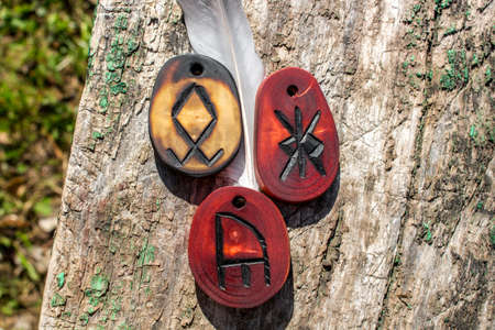 A set of talismans of three runes - Odal (Othala), Yr (bow) and double Calc (chalice). Anglo-Saxon futhark (futhorc)の写真素材