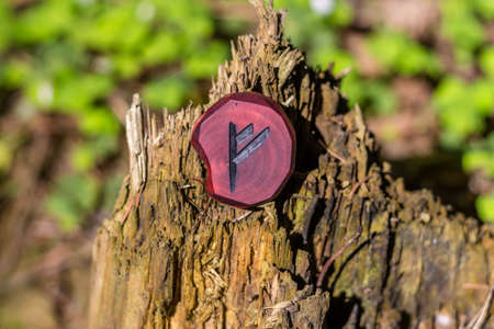 Rune Fehu carved from wood on an old stump - Elder Futharkの写真素材