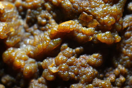 Spherulite peel of chalcedony on flint stoneの写真素材