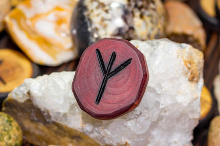Rune Algiz (Elhaz) carved from wood - Elder Futharkの写真素材