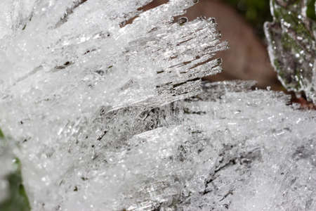 Sharp ice growths on grass and plants close upの写真素材