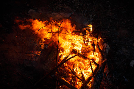 Colorful flame and sparks from a bonfire on a dark background
