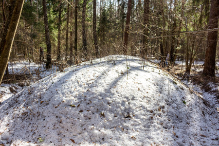 Ancient Baltic and Slavic mounds in the winter forest, Russiaの写真素材