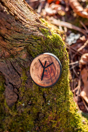 Rune of Algiz (also Elhaz) carved from wood on a dry stumpの写真素材