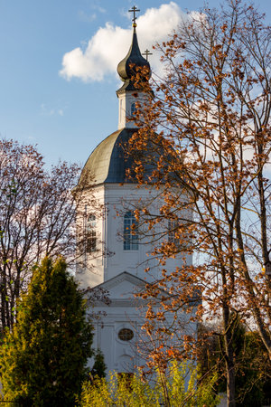 Russian Orthodox Church vertically. Church of Boris and Gleb of the 18th century in the Belkino...