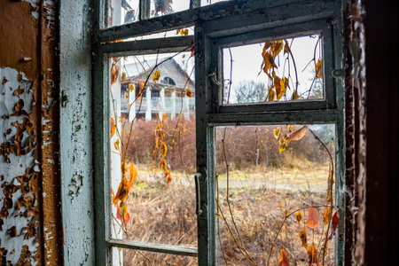 Abandoned Kudryavtsev Estate in the village of Panskoe, 19th century, Maloyaroslavetsky District,...