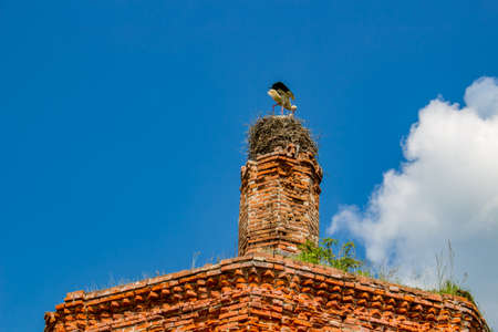 Ruins of the abandoned church of St. John the Evangelist of the 18th century in Fedorovsky.の写真素材